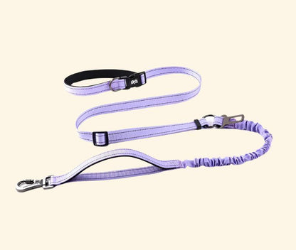 Stretchable Dog Leash, Reflective Multi-Functional Explosion-Proof Impact Car Dog Leash, Suitable for Outdoor Hiking, Running