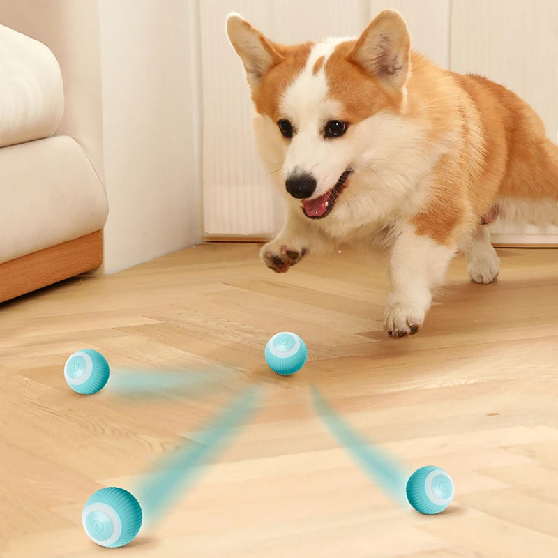 Auto Rolling Ball