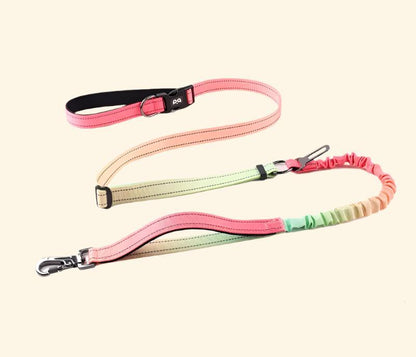 Stretchable Dog Leash, Reflective Multi-Functional Explosion-Proof Impact Car Dog Leash, Suitable for Outdoor Hiking, Running