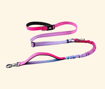 Stretchable Dog Leash, Reflective Multi-Functional Explosion-Proof Impact Car Dog Leash, Suitable for Outdoor Hiking, Running