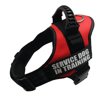 Custom Harness: Reflective, No-Pull, Personalized Fit for Every Dog